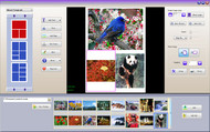 TM PhotoPrinter screenshot